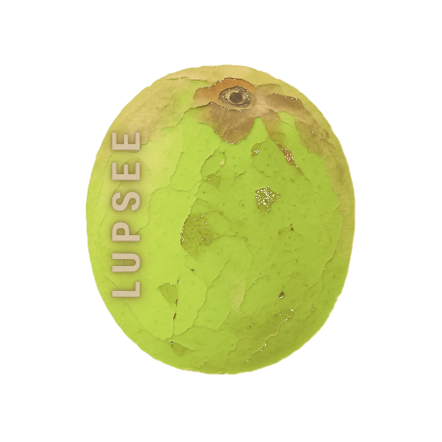 Lupsee